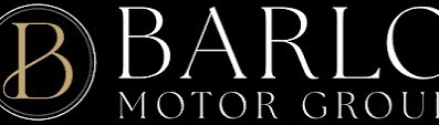 Qualified Motor & EV Technician